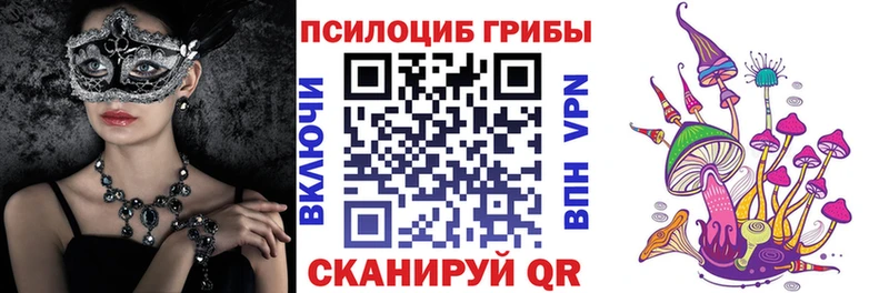 ссылка на мегу зеркало  Шиханы  Псилоцибиновые грибы Cubensis 